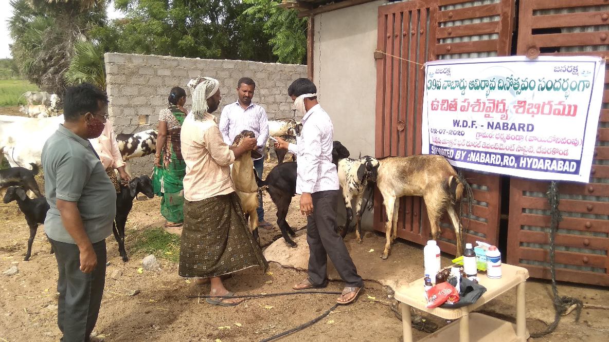 /media/ards/Free animal health camps on NABARD foundation day 1.jpg